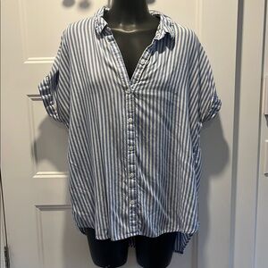 Beachlunchlounge Blue and White Casual Button Down Shirt